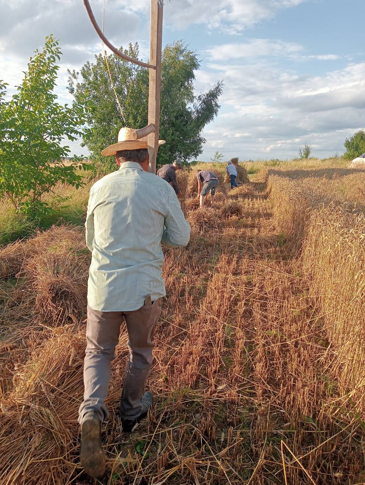 Zażynki w Rozięcinie 2025
